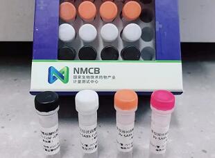 新型冠状病毒假病毒核酸标准物质成功研制！