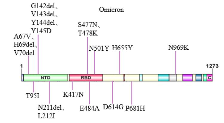 国计量院成功研制奥密克戎变异株基因组RNA标准