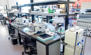 实验室中哪些设备需要强制检定